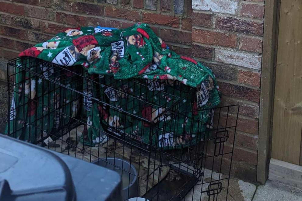 dog crate in filthy conditions outside with a blanket draped over the top