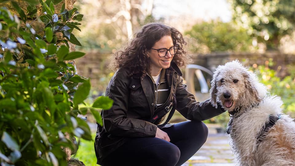 Bramley, a large fluffy mixed breed in the garden with his new owner.